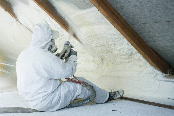 Best Attic Insulation Installation in Delft Colony, CA