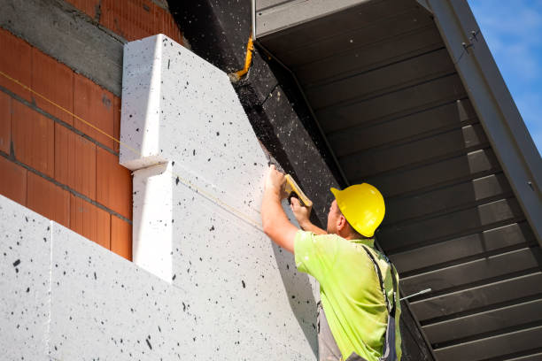 Reliable Delft Colony, CA Insulation Removal & Installation Solutions